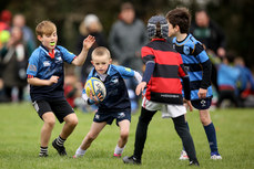 A view of the action at Dungarvan RFC 13/10/2024