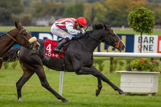 Andrew Slattery on Cloud Seeker wins 13/10/2024