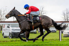 Darragh O’Keeffe on Quilixios comes home to win 10/11/2024