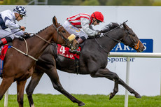 Andrew Slattery on Cloud Seeker wins 13/10/2024