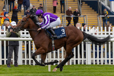 Wayne Lordan on Bounty wins 13/10/2024