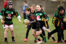 A view of the action at Dungarvan RFC 13/10/2024