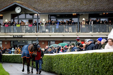 A view of the parade ring 17/11/2024