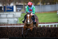 Miss Tempo, ridden by Mike O’Connor comes home to win 10/11/2024