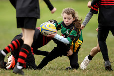 A view of the action at Dungarvan RFC 13/10/2024