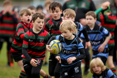 A view of the action at Dungarvan RFC 13/10/2024