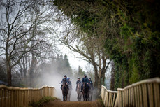 Sam Ewing on Romeo Coolio and Jack Kennedy on Brighterdaysahead lead a string of horses as they cool down on the gallops 18/11/2024