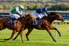 Gavin Ryan on Galveston wins The Irish Stallion Farms EBF Maiden 12/10/2024