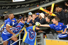 Damian Willemse and fans 19/10/2024