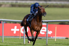 Gavin Ryan on Galveston wins The Irish Stallion Farms EBF Maiden 12/10/2024