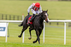 Andrew Slattery on Cloud Seeker wins 13/10/2024