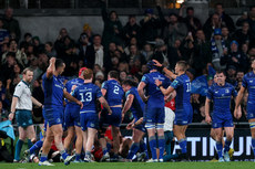 The Leinster team celebrate after Caelan Doris scores a try 26/10/2024