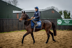 Bobby McNally on Farren Glory 18/11/2024