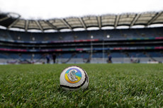 A view of a Sliotar 7/7/2024