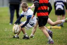 A view of the action at Dungarvan RFC 13/10/2024