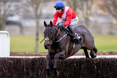 Darragh O’Keeffe on Quilixios comes home to win 10/11/2024