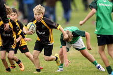 A view of the action at Dungarvan RFC 13/10/2024