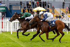 Dylan Browne McMonagle on Miracle Beauty wins The Irish Stallion Farms EBF Fillies Maiden 13/10/2024