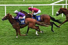 James Ryan onboard Courageous Strike comes home to win 28/6/2024