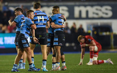 Cardiff players celebrate at the final whistle 26/10/2024