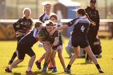 A view of the action at Balbriggan RFC 19/10/2024