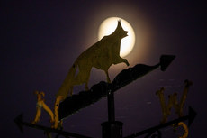 A view of the moon behind a weathervane 11/11/2024