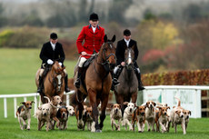 A view of the Meath Hounds parade 17/11/2024