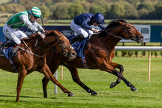 Gavin Ryan on Galveston wins The Irish Stallion Farms EBF Maiden 12/10/2024