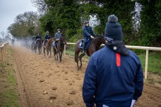 Gordon Elliott watches his string of horse on the gallops 18/11/2024