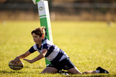 A view of the action at Balbriggan RFC 19/10/2024