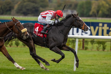 Andrew Slattery on Cloud Seeker wins 13/10/2024