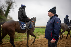 Gordon Elliott watches his string of horse on the gallops 18/11/2024