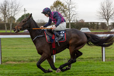 Jack Kennedy on Farren Glory comes home to win 10/11/2024