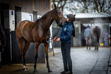 Helen Peppard with Kala Conti 18/11/2024