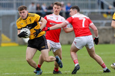 Shane O'Donnell with Mark Curran and Karl Magee 13/10/2024