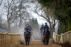 Sam Ewing on Romeo Coolio and Jack Kennedy on Brighterdaysahead lead a string of horses as they cool down on the gallops 18/11/2024