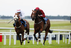 Ben Coen onboard Siege of Troy comes home to win 28/6/2024