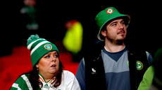 Ireland fans 17/11/2024