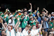 Ireland fans celebrate after a try is scored  21/5/2023