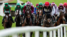 A view of the runners and riders in the fifth race of the day 17/11/2024