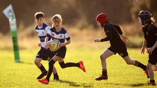 A view of the action at Balbriggan RFC 19/10/2024