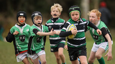 A view of the action at Dungarvan RFC 13/10/2024