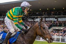 Paul Townend celebrates winning the Irish Grand National with I Am Maximus 10/4/2023