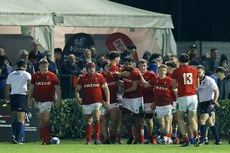 Wales celebrates after a try is scored 10/3/2023