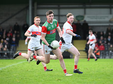 Frank Irwin with Kevin Banks and Conor Burke 17/11/2024