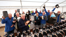 The Irish Men’s Shed Association Achieve Official Guinness World Record for the Largest Display of Kettle 19/11/2024