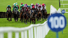 A view of the runners and riders in the fifth race of the day 17/11/2024