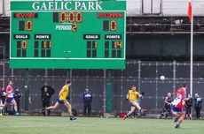 A view of the Gaelic Park 1/5/2016