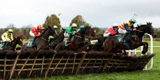 A view of the third race 17/11/2024