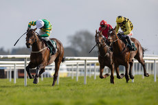 Mark Walsh wins The WilllowWarm Gold Cup 31/3/2024